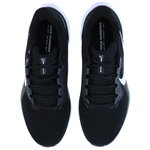 Nike Pegasus 41