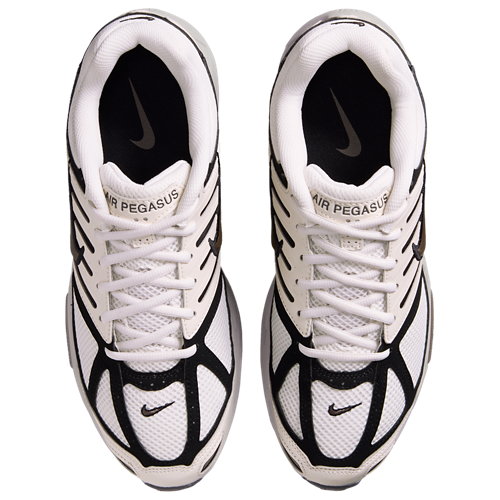 Nike Pegasus 2005