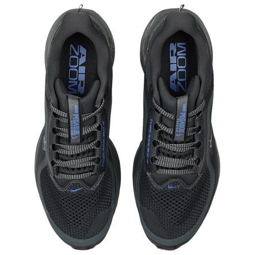 Nike Pegasus Premium