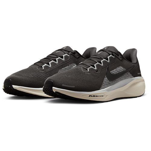 Nike Pegasus 41