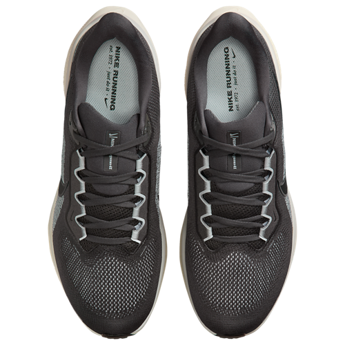 Nike Pegasus 41