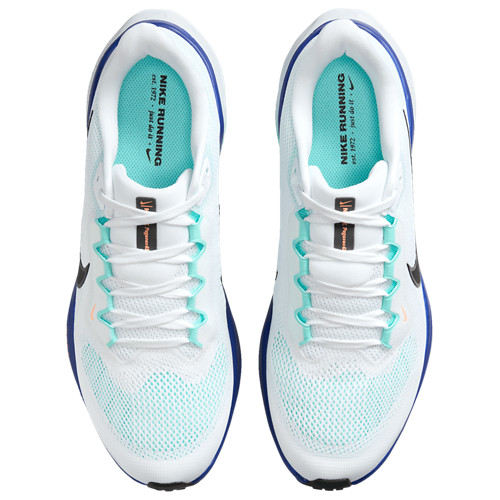 Nike Pegasus 41